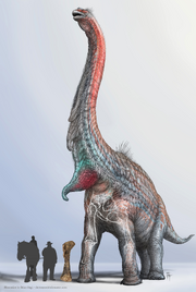 Brachiosaurus humerus bone size comparison 2020.png