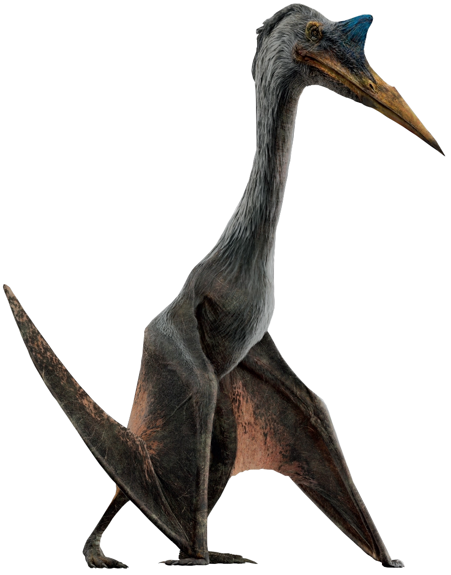 Quetzalcoatlus | Dinosaur Wiki | Fandom