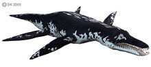 Liopleurodon