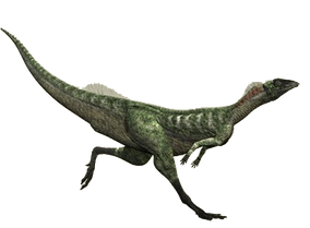 9018592 orig.png