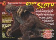 Giant Sloth front