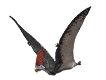 Dcn4k4i-96943680-f2d5-4505-815e-2bb6c1198834.png