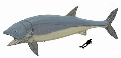 Leedsichthys