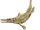 Metriorhynchus