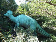 Corythosaurus at Calgary Zoo