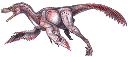 Bambiraptor feinbergorum