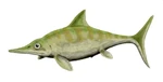 Ophthalmosaurus bw.jpg (18 kB)