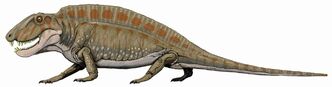 Sphenacodon222