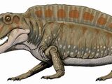 Sphenacodon