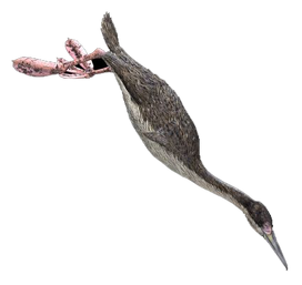 Hesperornis1.png