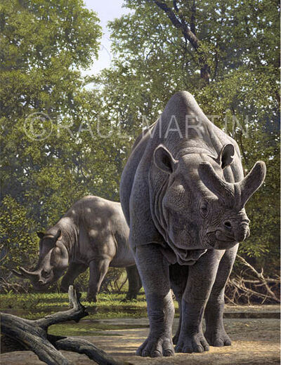 Brontotheriun.jpg
