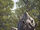 Brontotherium
