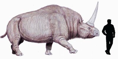 Elasmotherium