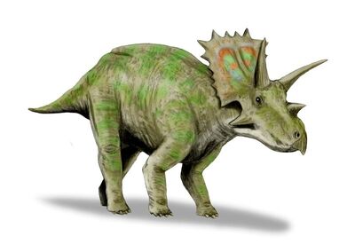 Anchiceratops