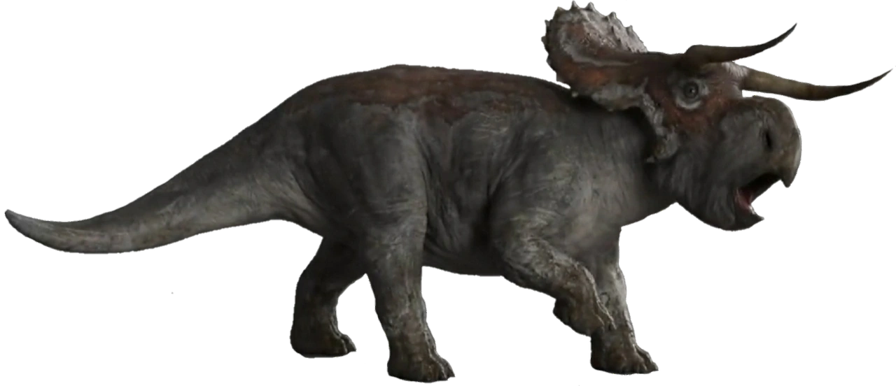 Nasutoceratops | Dinosaur Wiki | Fandom