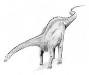 Diplodocus4