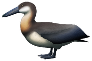 Tumblr 8b14ee075698d327bcadd73854745616 fdf21218 1280.png