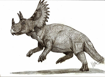 Ceratops