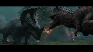 Sinoceratops vs Carnotaurus in Jurassic World