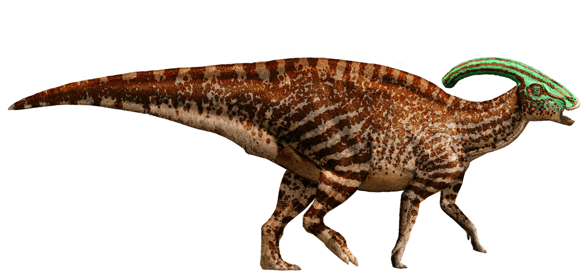 Parasaurolophus, Dinosaur Wiki