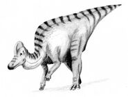 Corythosaurus3