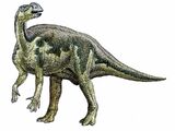Muttaburrasaurus