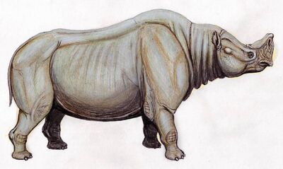 Protembolotherium