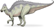 Hypacrosaurus