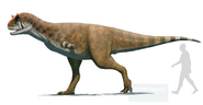 Reconstruction of Carnotaurus sastrei size