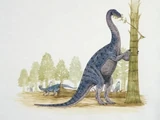 Euskelosaurus