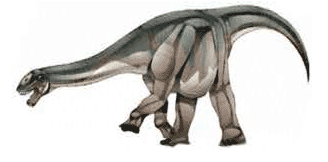 Amygdalodon web.gif