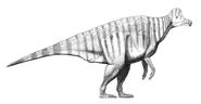 Corythosaurus restoration