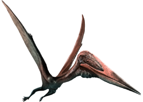 Soaring Ordosipterus #earlycretaceous #mesozoic #pterosauria # pterodactyloidea #dsungaripteridae #ordosipterus #china by: @pnsozcyy