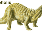 Acanthopolis