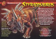 Styracosaurus front