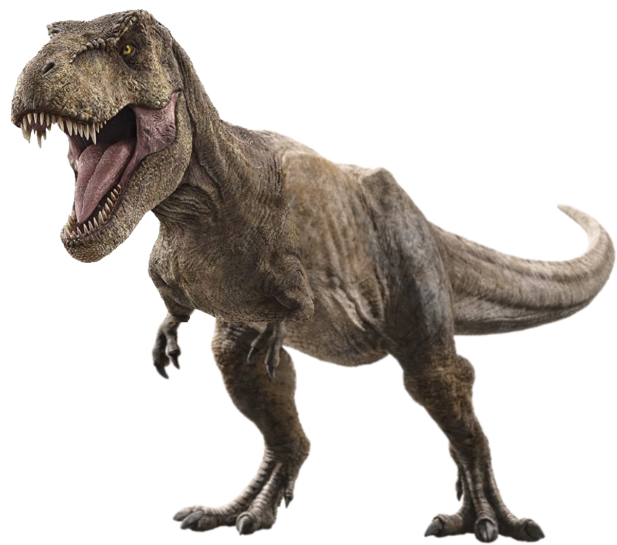 Fewer T. rex walked the Earth than previous estimated, new study claims