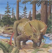 Triceratops horridus