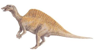 Ouranosaurus.jpg