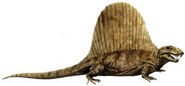 Dimetrodon