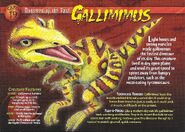 Gallimimus front
