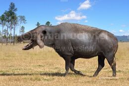 Archaeotherium the Pig from Hell.jpg