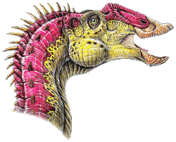 Gryposaurus notabilis