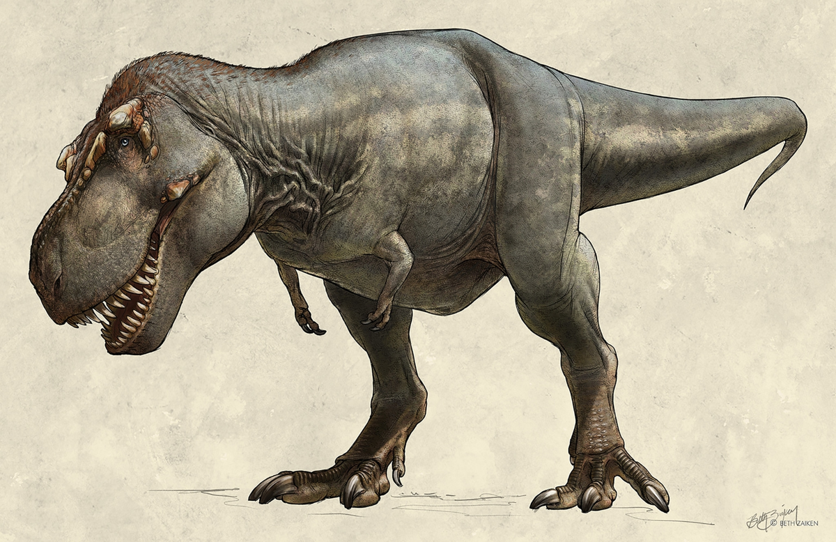 ArtStation - Tyrannosaurus rex 2018, RJ Palmer Tyrannosaurus rex, Tyrannosaurus,