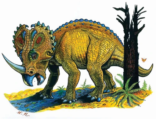 Monoclonius | Dinosaur Wiki | Fandom