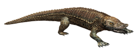 858f3c2a.png