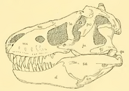 The Osteology of the Reptiles-105 ddrtytyy h f - Copy