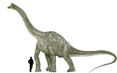 Pelorosaurus