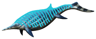 Shastasaurus.png