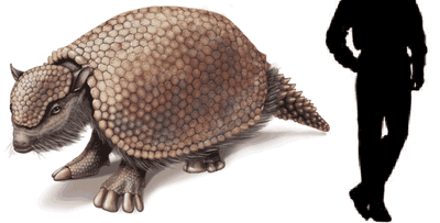 Glyptodon.gif