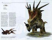 National-geographic-dinosaurs013